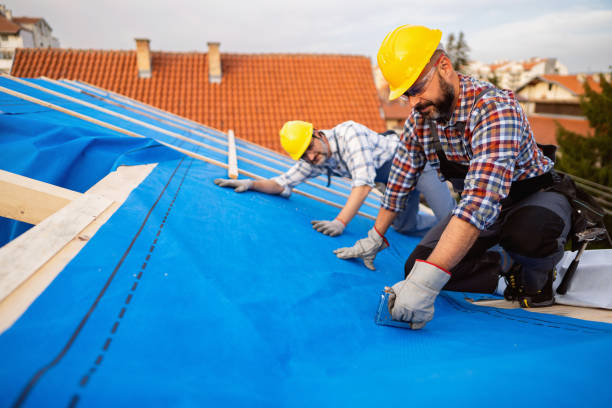 Best Green or Eco-Friendly Roofing Solutions  in Jamestown West, NY